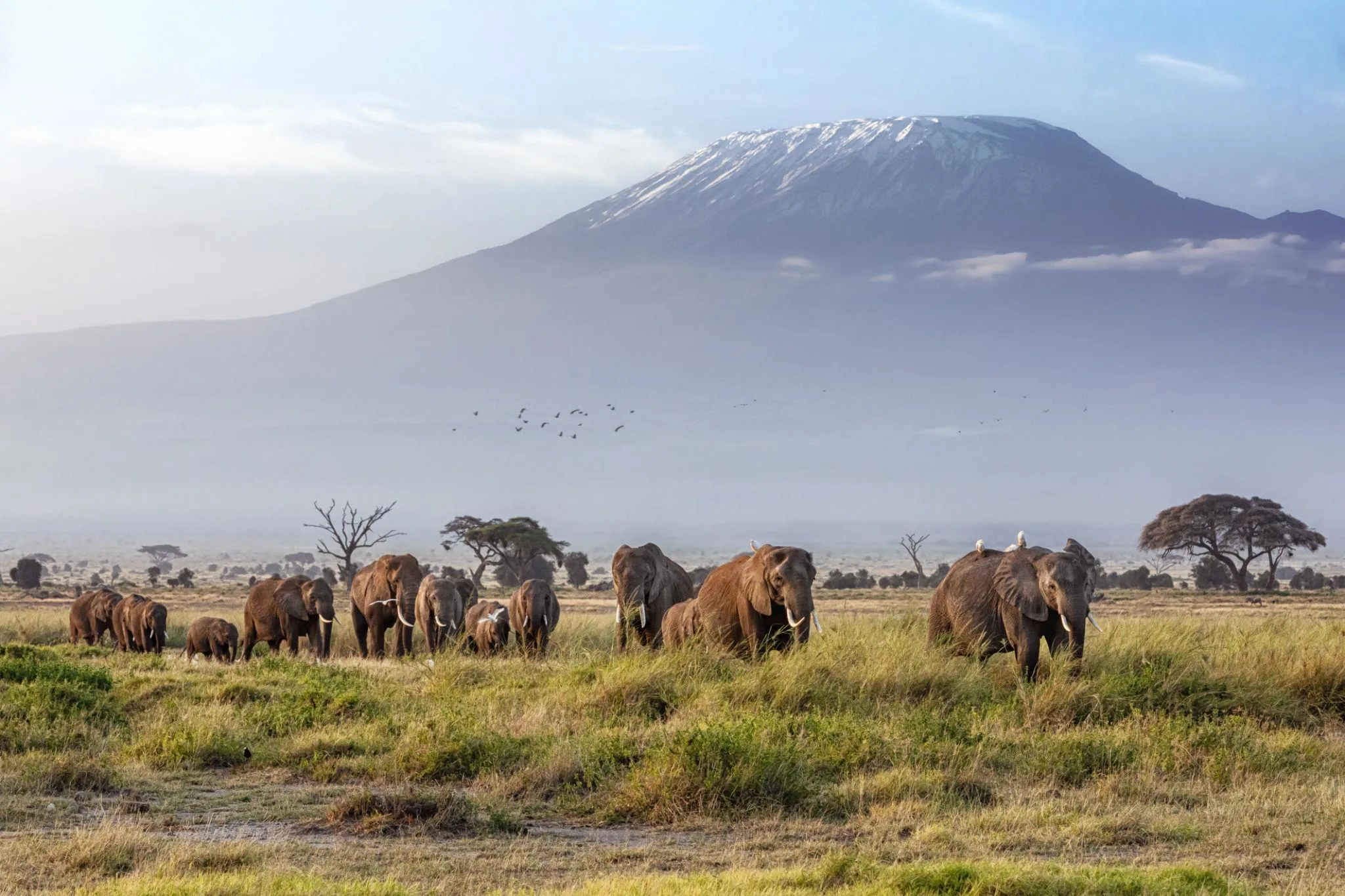 Ultimate 4-Day Amboseli and Tsavo West Safari Itinerary